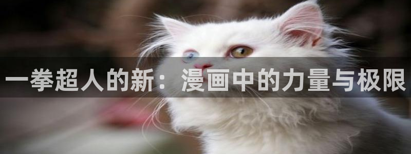 歪歪漫画免费阅读看漫画