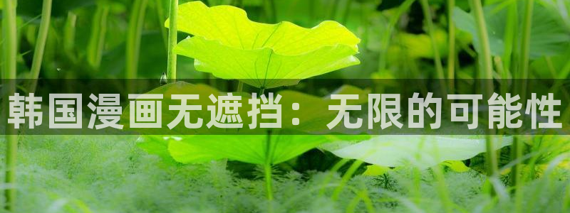 歪歪漫画网址
