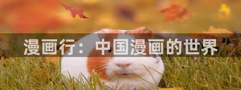 歪歪漫画免费阅读观看