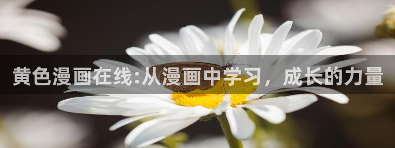 歪歪漫画无删减免费在线