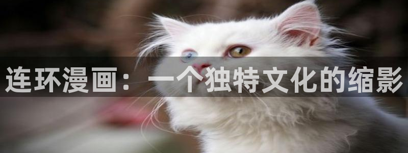 歪歪漫画在线页面免费弹窗qq