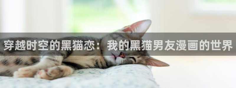 歪歪歪歪漫画sss登录页面